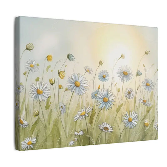 Watercolour Daisies in a Field Floral Canvas